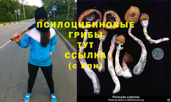 мескалин Кулебаки