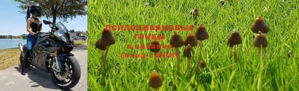 МДПВ Куйбышев