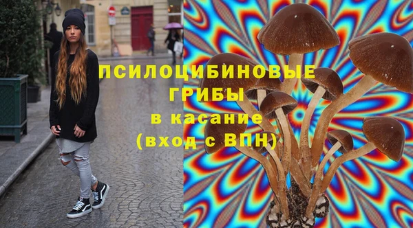 хмурый Кукмор
