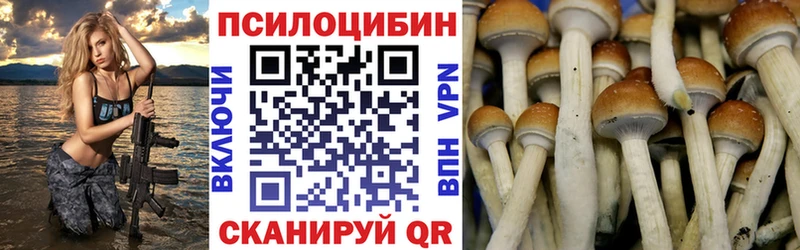 Галлюциногенные грибы GOLDEN TEACHER  Купить закладки  Отрадная 